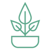 Natural & Eco-Friendly Care